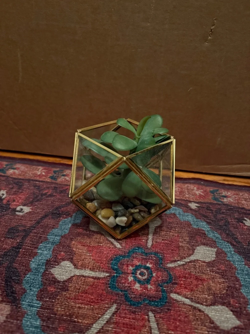 Gold Glass Geometric Terrarium with Green Succulent